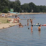 Pojavile se meduze na Adi Ciganliji: Ekspert otkriva da li ima razloga za strah