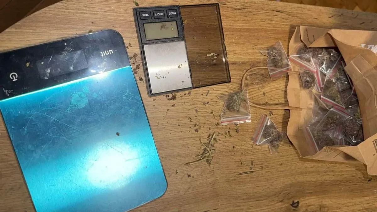 Policija u stanu pronašla kokain, amfetamin i marihuanu! Pao diler u Vršcu