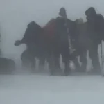 Preživeli planinari identifikovali tela nastradalih kolega! Posle obdukcije sledi njihov povratak u BiH