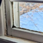 Primetili ste buđ na drvenim površinama? Slušajte šta kažu eksperti, ovako se najlakše čisti