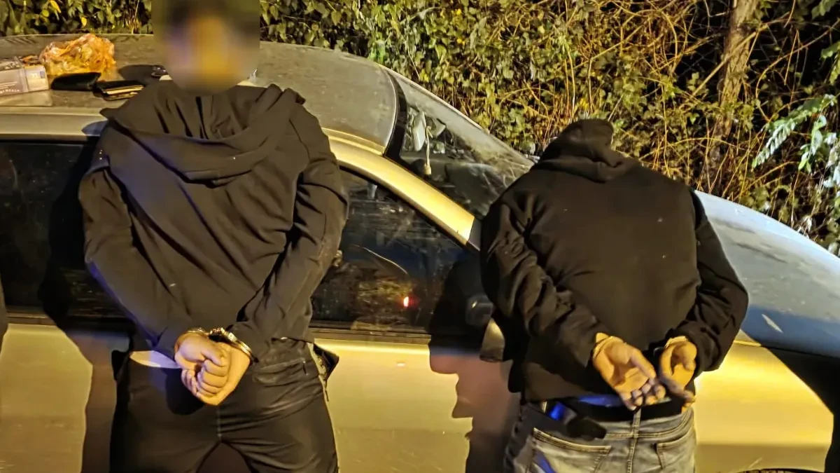 Prodavali tompuse na crno: Uhapšena dvojica kod Kuršumlije!