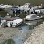 "Situacija je vrlo alarmantna" Vanredno stanje u tri mesta u Srbiji zbog niskog vodostaja Dunava