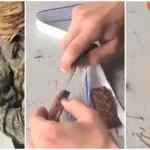 Šok snimak sa fronta! Ruski vojnik otvorio čokoladicu i ostao u neverici - otkrivena jeziva taktika Ukrajinaca! (VIDEO)