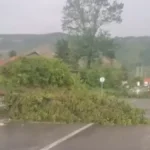 Srbija na udaru apokaliptičnog nevremena! Vetar čupa drveće iz korena, putevi blokirani, haos već počeo