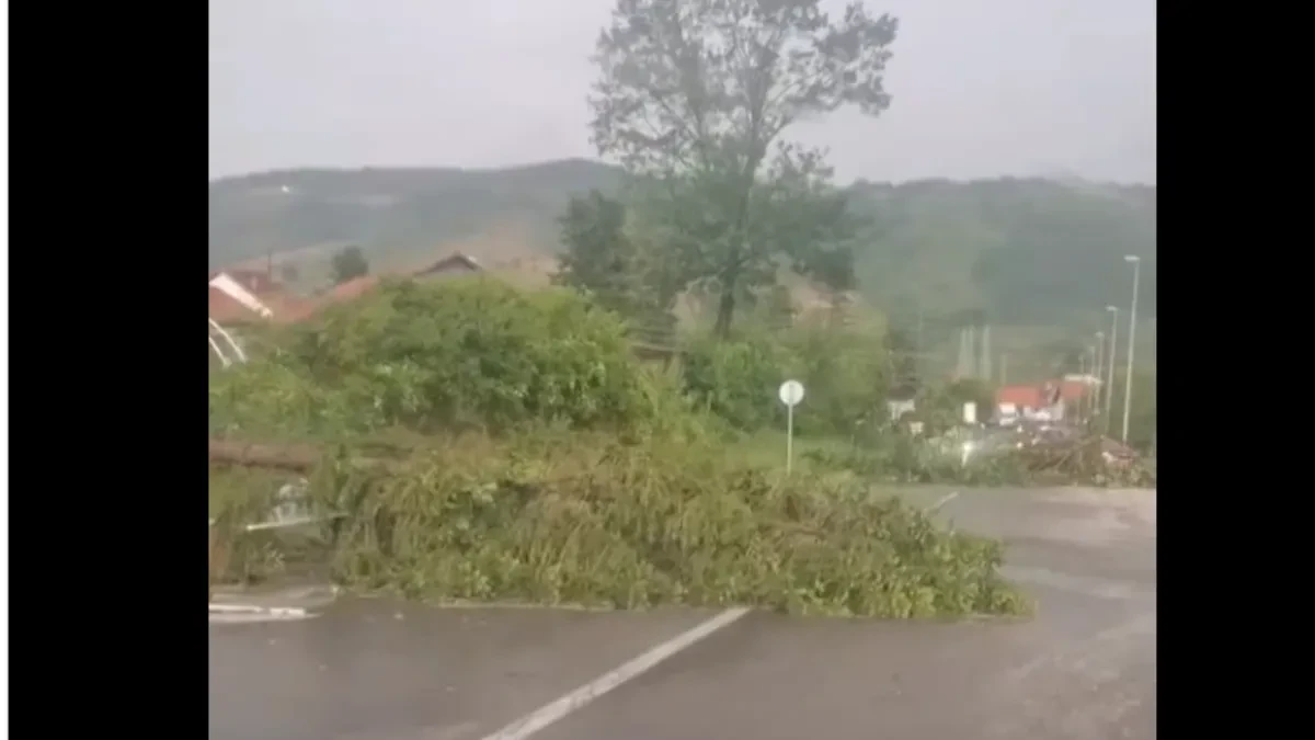 Srbija na udaru apokaliptičnog nevremena! Vetar čupa drveće iz korena, putevi blokirani, haos već počeo