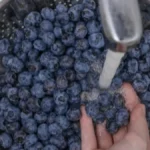 Svi ih samo isperu vodom, a to je greška: Evo kako se borovnice pravilno peru