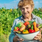Tajne bašti iz vremena Jugoslavije: Zato su naše bake brale paradajz težak i po kilogram, a danas jedva naraste do dlana