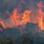Bilans požara u Evropi - skoro pola miliona hektara zemljišta, šteta preko tri milijarde evra 
