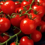 Cena zaprepastila hrvatske kupce - kilogram paradajza skuplji od teletine