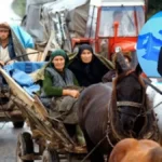 "Deca prognanih, unuci spaljenih domova i krv prećutanih žrtava neće umuknuti, u Krajini pravoslavne sveće nikad niko ugasiti neće"
