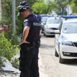 Deca pronašla pištolj u Nišu: Revolver bio bačen u travu, na svega 100 metara od škole, meštani Pasi Poljane uznemireni