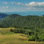 Došli iz Pariza u srpsko selo, pa se oduševili -  "Najlepše koje smo do sada videli"