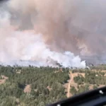 Drama u opštini Kovin! Vatrena stihija sa Deliblatske peščare se širi, hitno proglašena vanredna situacija!