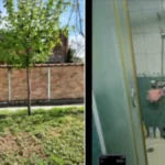 Dve kuće u Kikindi za 80.000 evra: Jedna odmah useljiva, druga ima čak 220 kvadrata, a sve je na velikom placu