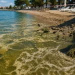 Fekalije u moru kod komšija! Dve popularne plaže zatvorene, bakterije devet puta iznad granice