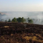 Gledajte šta radi moćni ruski Iljušin na Ravnoj gori: Jedan nalet je bio dovoljan (FOTO)