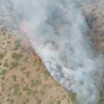 Gori Ravna Gora! Vatrena stihija zahvatila više od 10 hektara, veliki broj vatrogasaca na terenu