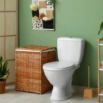 Ne morate da ribate! Ovaj trik uklanja crni krug oko WC šolje očas posla!