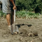 Ni prekaljeni ratari to nisu videli - i krompiri se skuvali u zemlji
