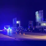 Nisu uginule krave niti su lutale autoputem! Otkrivena istina o nesreći u kojoj je učestvovalo pet vozila