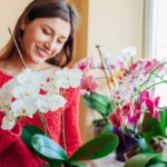 Orhideja mi cveta cele godine! Obožava đubrivo koje sama pravim, dajem vam recept