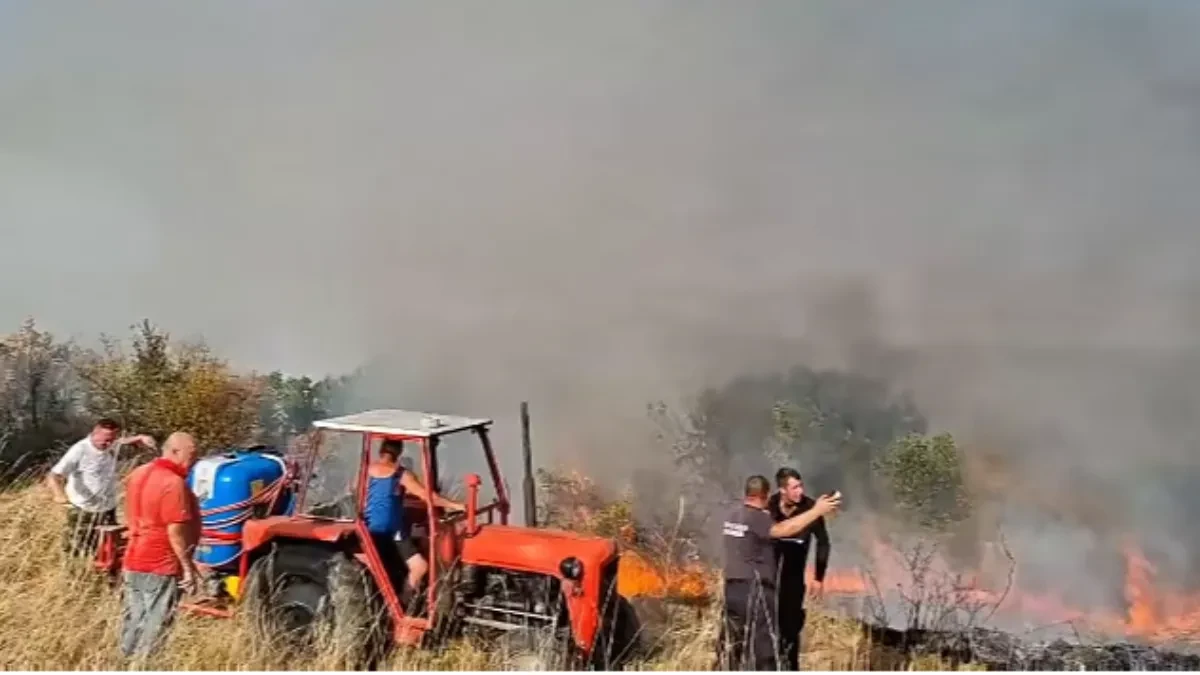 Pakao kod Bojnika! Plamen stigao nadomak kuća i groblja, meštani krenuli u odbranu sela (VIDEO)