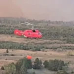 Požari besne širom zemlje! Od sledeće nedelje ponovo 39 stepeni, RHMZ izdao upozorenje!