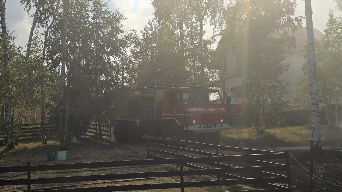 Požari pod kontrolom: Najteže u Deliblatskoj peščari, Dunav ponovo u padu