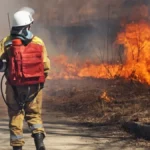 Požari, suša i afrička kuga svinja - Ministar saopštio kakva je situacija na terenu