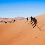 Pustinja na 50 stepeni postala raj za grožđe - Srbin pokrenuo poljoprivrednu revoluciju u Namibiji