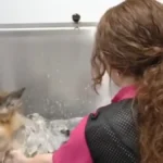 Smederevka sa 56 godine presekla i dala otkaz: Otkrila je biznis koji joj donosi odličnu zaradu
