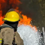 Srbija nije sama u borbi sa vatrenom stihijom! Stiže pomoć još jednog suseda, MUP odmah prihvatio ponudu