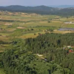 Svi hoće državnu zemlju u ovom delu Hrvatske: Poljoprivrednici se otimaju za parcele
