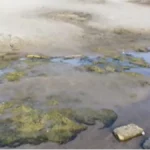 Tu je nekada bio plovni put, sada je barica! Strašni kadrovi snimljeni u Apatinu