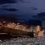 U Dunavu pronađena mina duga dva metra!