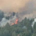 U Srbiji aktivna čak 22 požara na otvorenom: Sve raspoložive snage na terenu zbog nezapamćene suše