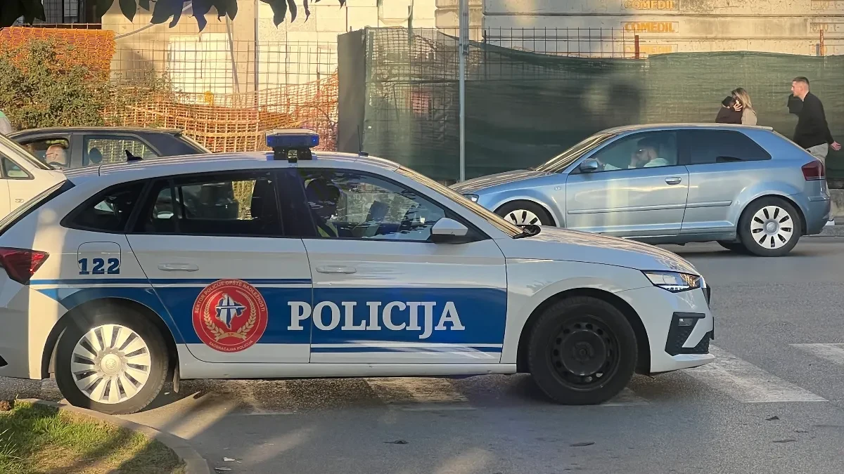 Uhapšeni državljani Rusije i Indije zbog pokušaja ilegalnog ulaska u Crnu Goru: Koristili lažne vozačke dozvole