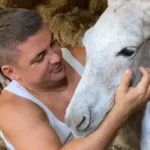 "Uplati 300 evra za bolesno dete i dobije magarca" - neobična akcija sa farme kod Sombora