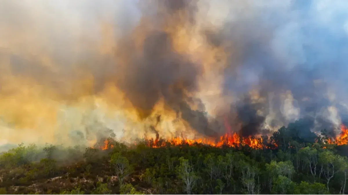 Vatra gutala šumu na Divčibarama! Drama na Kraljevom stolu, vatrogasci sprečili katastrofu! (VIDEO)