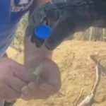 Vatrogasci rasplakali Srbiju jednim potezom: Izvukli bespomoćno sićušno stvorenje iz vatre, ovim potezom pokazali koliko srce imaju