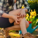 Virus Zapadnog Nila se širi Srbijom: 11 obolelih, kod 10 razvijen težak oblik, ovo su simptomi za hitnu reakciju