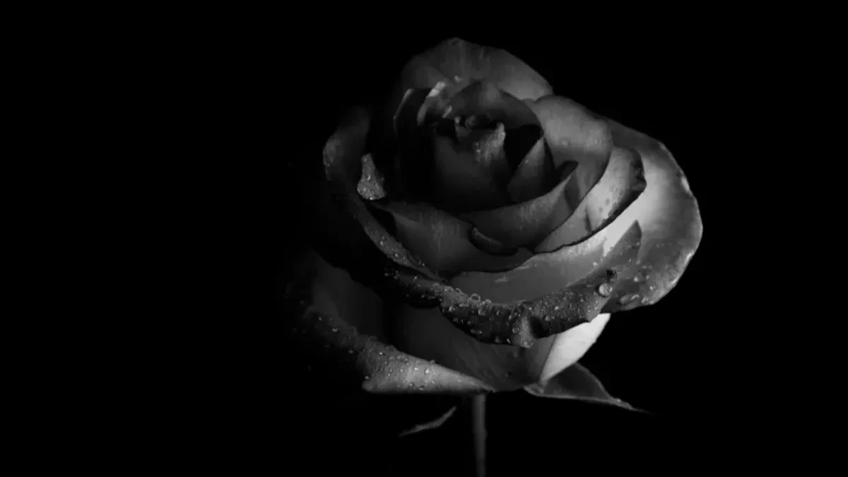 Voditeljka izgubila bitku u 43. godini! Njena objava rasplakala je mnoge: