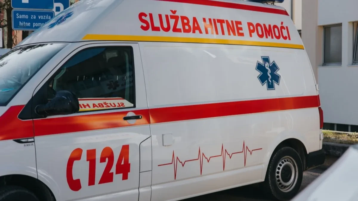 Vozač