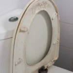 Čisti dasku od WC šolje bolje od varikine? Evo kako da od požutele dođete do sneg bele, bolje i od najjače hemikalije