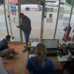 Divlja zverka uletela na pumpu kod Čačka: Nastala prava drama, jedva su je obuzdali! (VIDEO)
