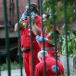 Horor na Karaburmi: Starac (79) prošao kroz crveno i pokosio ženu (44) na pešačkom prelazu