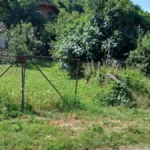 Kuća kraj Dunava za 10.000 evra: Plac od četiri ara, struja i voda, a Golubačka tvrđava na pet kilometara