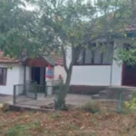 Kuća sa skoro 15 ari placa prodaje se za 15.800 dinara? Oglas iz sela kod Svilajnca privukao pažnju, evo šta se nudi