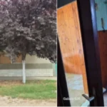 Kuća u Vojvodini za 68.000 evra, a uz nju čak 6 dodatnih objekata! Ima i 15 ari placa, i mesta za posao