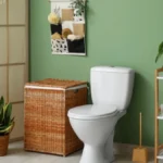 Ma kakvi specijalni osveživači: Ovo uklanja smrad iz wc šolje kao od šale!